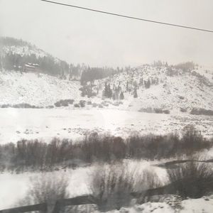 Meet your Posher, Antonio